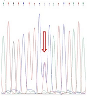 Trends in Med Sci
